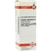 DHU-Arzneimittel LYCOPUS VIRG. D 4 DIL. 20 ML DILUTION DHU-Arzneimittel LYCOPUS VIRG. D 4 DIL. 20 ML DILUTION
