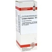 DHU-Arzneimittel LYCOPUS VIRG. D 6 DIL. 20 ML DILUTION