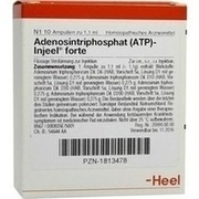 Biologische Heilmittel Heel ATP INJEELE FORTE 1,1 ML, 10 St.