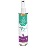 Taoasis ERKAELTUNGSDUFT RAUMSRAY, 50 ml