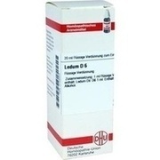 DHU-Arzneimittel LEDUM D 6 DIL., 20 ml
