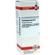 DHU-Arzneimittel CARDIOSPERMUM D 2 DIL., 20 ml