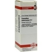 DHU-Arzneimittel CEANOTHUS AMERICANUS D 4 DIL., 20 ml