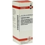 DHU-Arzneimittel EUPHRASIA EXTERN TINKTUR, 20 ml DHU-Arzneimittel EUPHRASIA EXTERN TINKTUR, 20 ml
