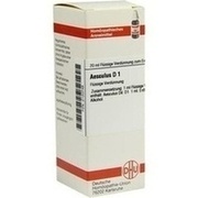 DHU-Arzneimittel AESCULUS D 1 DIL., 20 ml