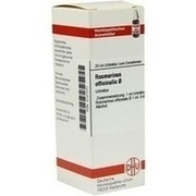 DHU-Arzneimittel ROSMARINUS OFF. URTINKTUR = D 1, 20 ml