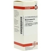 DHU-Arzneimittel MARUM VERUM D 6 DIL., 20 ml