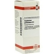 DHU-Arzneimittel EUPATORIUM PERFOLIATUM D 6 DIL., 20 ml