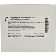 Weleda BRYOPHYLLUM D 5/CONCHAE D 7 AMP., 5 x 10 ml