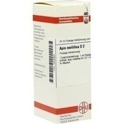 DHU-Arzneimittel APIS MELLIFICA D 2 DIL. 20 ML DILUTION