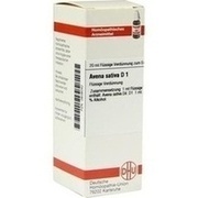 DHU-Arzneimittel AVENA SATIVA D 1 DIL., 20 ml