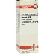 DHU-Arzneimittel BERBERIS D 12 DIL., 20 ml