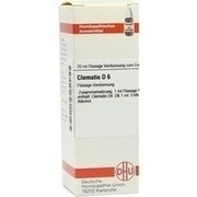 CLEMATIS D 6 DILUTION, 20 ml