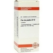 DHU-Arzneimittel FLOR DE PIEDRA D 12 TABLETTEN, 80 St.