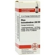 DHU-Arzneimittel LM RHUS TOX. XVIII 10 ML DILUTION