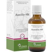 Pflüger AUXCILLIN HM TROPFEN, 50 ml
