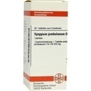 DHU-Arzneimittel SYZYGIUM JAMB D 4 DHU TAB, 80 St.