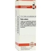 DHU-Arzneimittel RUTA EXTERN EXTRAKT, 20 ml