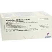 BRYOPHYLLUM D 5/CONCHAE D 7 AMP., 48 x 1 ml
