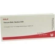 Wala VISCUM MALI SENKER D30 AMP, 10 x 1 ml