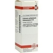 DHU-Arzneimittel CALCIUM CARBONICUM D 6 DILUTION HAHNEMAN