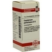 DHU-Arzneimittel EUPATORIUM PERFOLIATUM D6 DHU, 10G GLOBULI