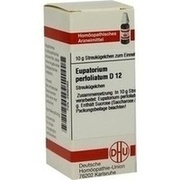 DHU-Arzneimittel EUPATORIUM PERFOLIATUM D 12 GLOBULI, 10 g