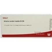 Wala ARTERIA CEREBRI MEDIA GL D 5 AMP., 10 x 1 ml