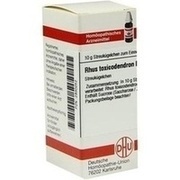 DHU-Arzneimittel RHUS TOX. D 200 GLOBULI, 10 g