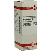 DHU-Arzneimittel SYMPHYTUM D 12 DIL., 20 ml DHU-Arzneimittel SYMPHYTUM D 12 DIL., 20 ml