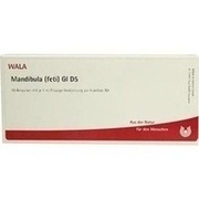 Wala MANDIBULA FETI GL D 5 AMP., 10 x 1 ml