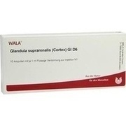 Wala GLANDULA SUPRAREN. CORT. GL D 6 AMP., 10 x 1 ml