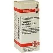 DHU-Arzneimittel EUPATORIUM PERFOLIATUM D 30 GLOBULI, 10 g