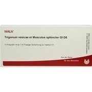 Wala TRIGONUM VES.ET MUSC.SPH.GL D 5 AMP., 10 x 1 ml