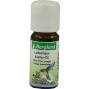 LATSCHENKIEFERNOEL BERGLAND