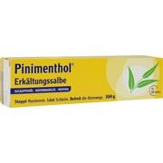 Dr.Willmar Schwabe PINIMENTHOL ERKAELTUNGSSALBE, 100 g Dr.Willmar Schwabe PINIMENTHOL ERKAELTUNGSSALBE, 100 g