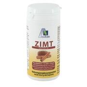 Avitale ZIMT KAPSELN 500 MG + VITAMIN C + E