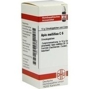 DHU-Arzneimittel APIS MELLIFICA C 6 GLOBULI, 10 g
