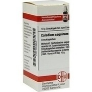 DHU-Arzneimittel CALADIUM SEGUINUM D 4 GLOBULI, 10 g