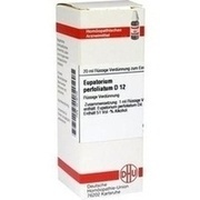 DHU-Arzneimittel EUPATORIUM PERFOLIATUM D 12 DIL., 20 ml
