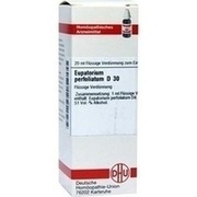 DHU-Arzneimittel EUPATORIUM PERFOLIATUM D 30 DIL., 20 ml