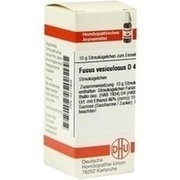 DHU-Arzneimittel FUCUS VESICULOSUS D 4 GLOBULI, 10 g