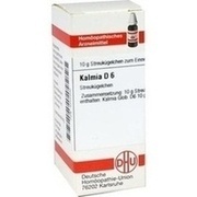DHU-Arzneimittel KALMIA D 6 GLOBULI, 10 g