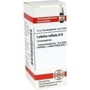DHU-Arzneimittel LOBELIA INFLATA D 6 GLOBULI, 10 g
