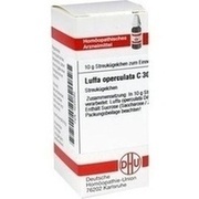 DHU-Arzneimittel LUFFA OPERCULATA C 30 GLOBULI, 10 g