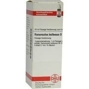 RANUNCULUS BULBOSUS D12 DILUTION