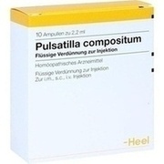 Biologische Heilmittel Heel PULSATILLA COMP. AMPULLEN, 10 St.