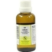 Nestmann Pharma LILIUM K KOMPLEX NR. 54 DIL. DILUTION