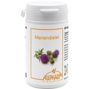 Allpharm MARIENDISTEL LEBERSCHUTZ KAPSELN, 60 St.