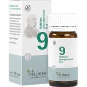 Pflüger BIOCHEMIE PFLUEGER 9 NATRIUM PHOSPH.D 6 Pflüger BIOCHEMIE PFLUEGER 9 NATRIUM PHOSPH.D 6